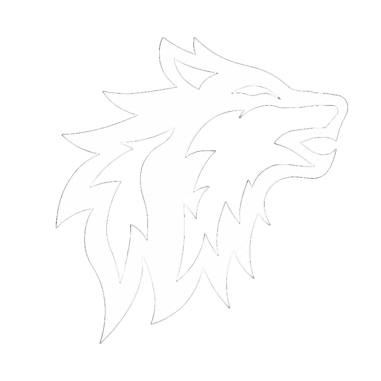 Apex Scanner