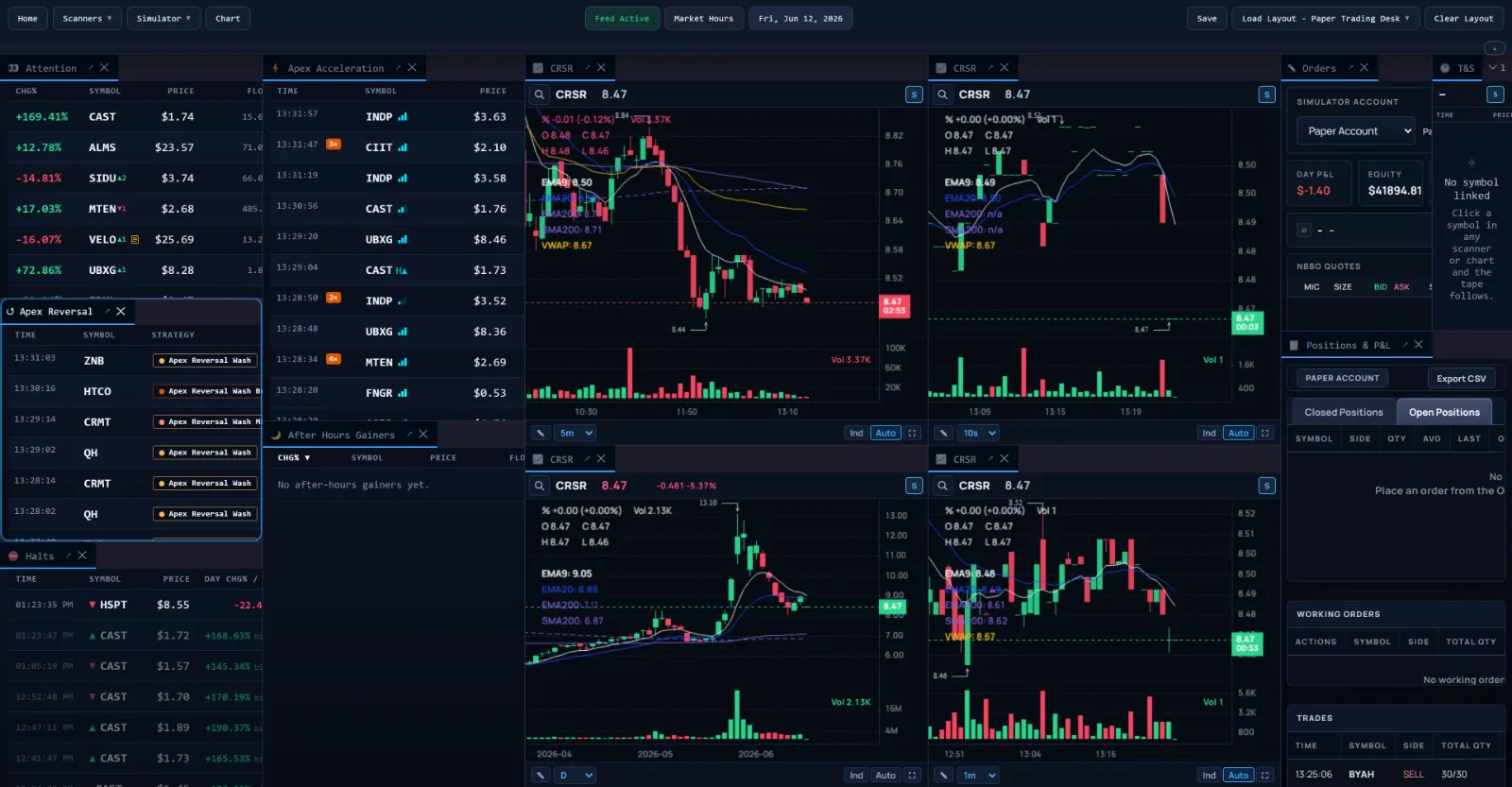 The full Apex workbook — scanner panels, multiple live charts, time and sales, and order entry arranged in one workspace