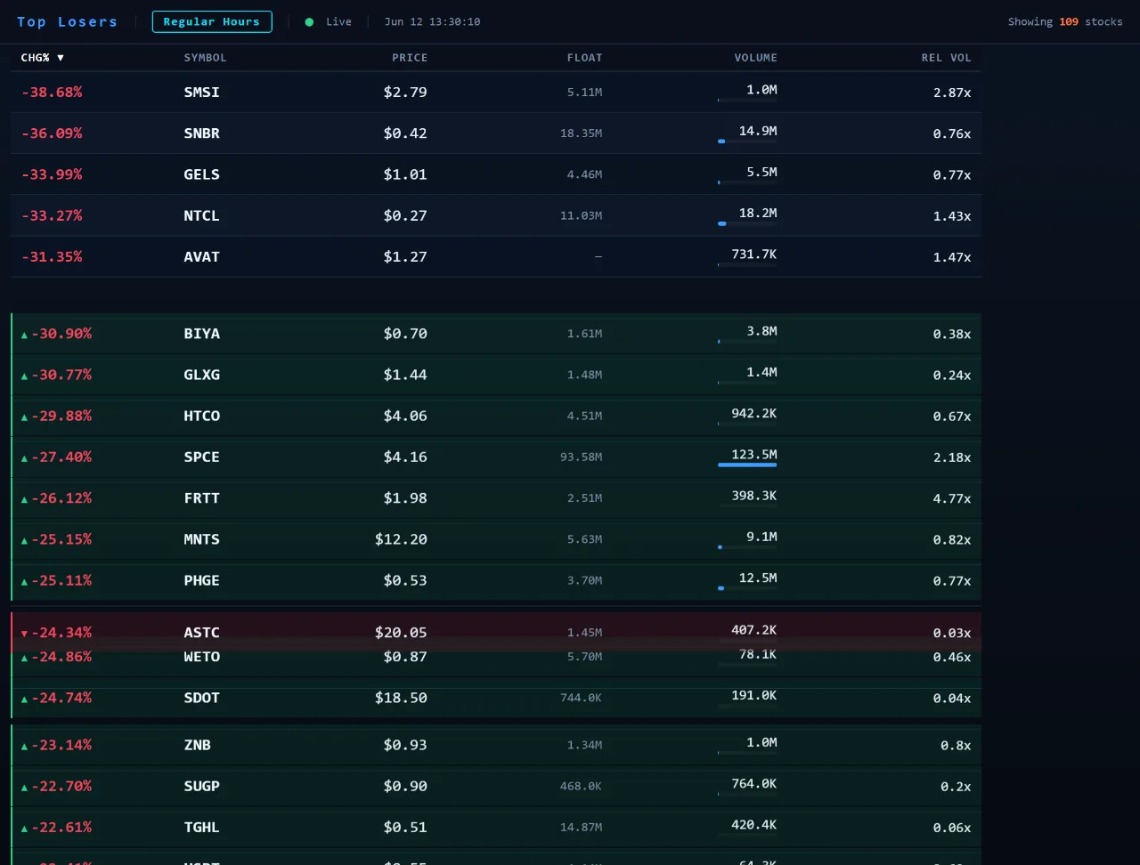 Top Losers panel ranking the weakest stocks of the session
